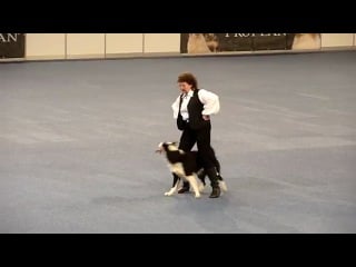 Galina & moja nadezhda rolly royce world championship in dogdancing, austria 2012