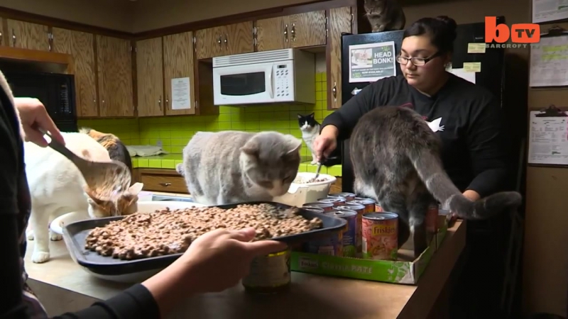 Самая сильная и независимая женщина на планете