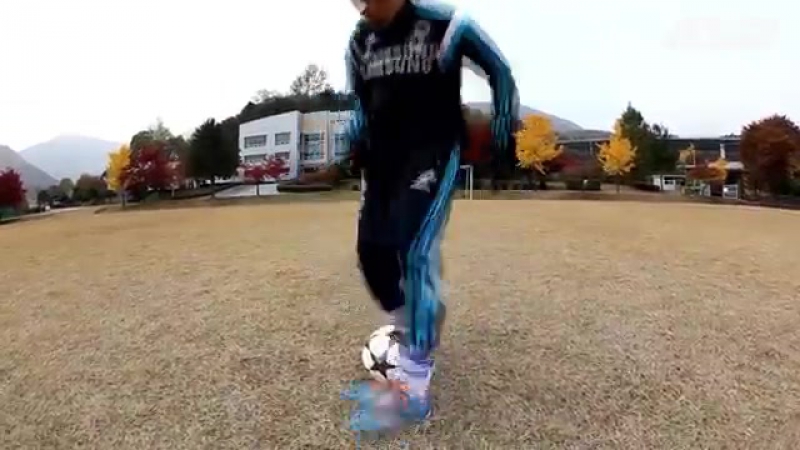 Rivaldo exchange ● art soccer skill coaching