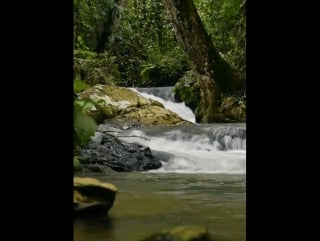 Бурная речка