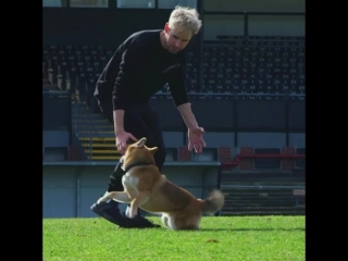 Tofu chan has a message for you