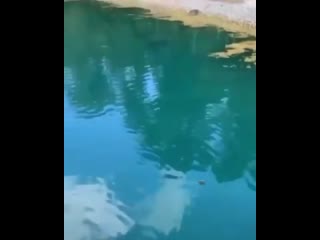 Чтоб наверняка