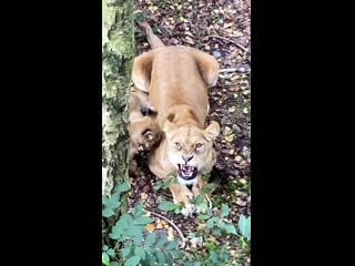 Alex with malte / ree safari park / x17