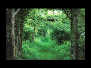 Essentially english anna wintours garden on long island