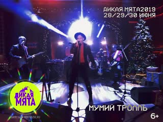 Dikaya myata random slot / мумий тролль / lola marsh / vurro