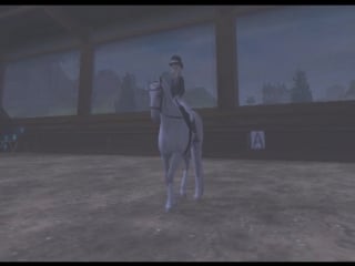 Elements of sso dressage