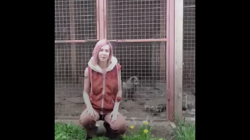 В подмосковье живет девушка, которая приютила больше 100 молодые