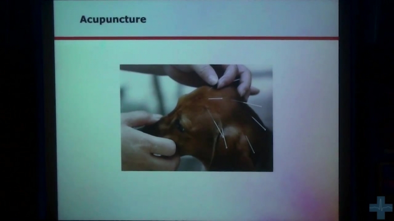 Шеннон флеммер болевой синдром клиническая оценка и обезболивание (clinical pain assessment and relief)