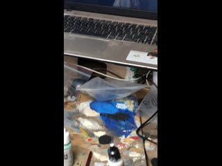 Girl with a pearl earring by jan vermeer