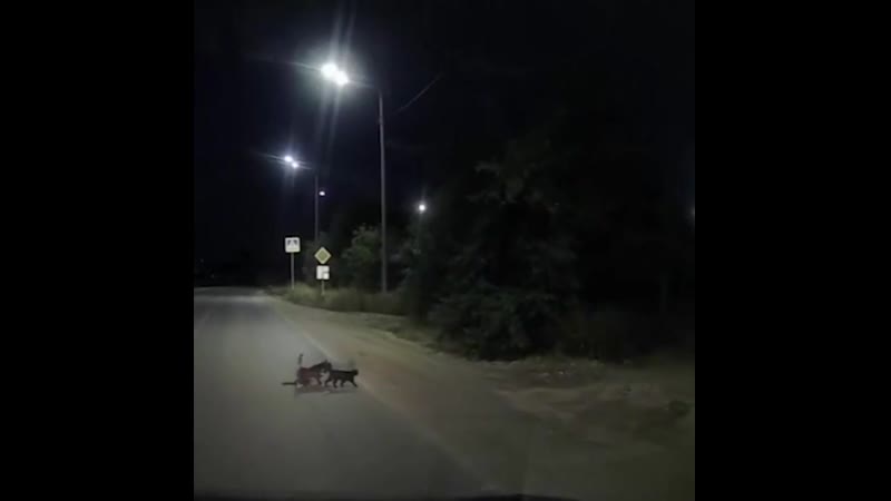 Помогают молодые инвалиду