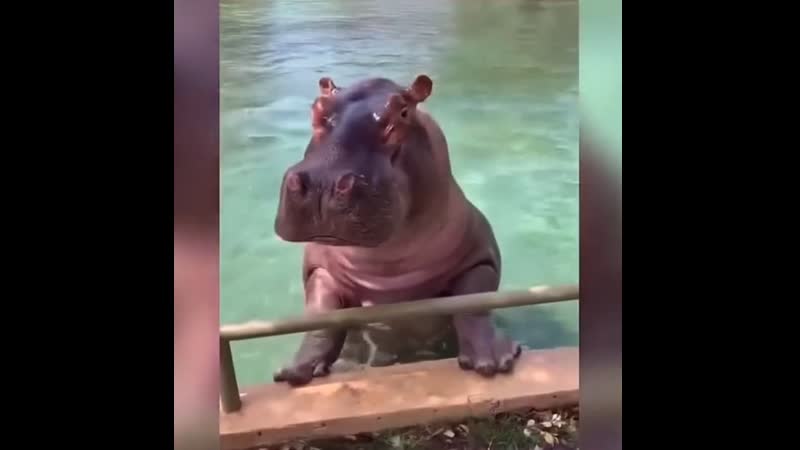 Смешные и забавные молодые 😍🤣