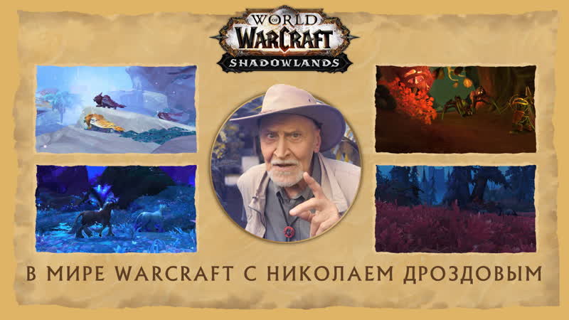 В мире warcraft с николаем дроздовым