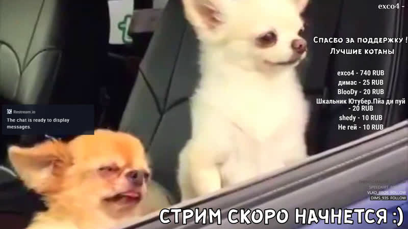 Стрим дейз headhunters закажи музыку ! читаем чат/ dayz standalone / подпишись взаимно