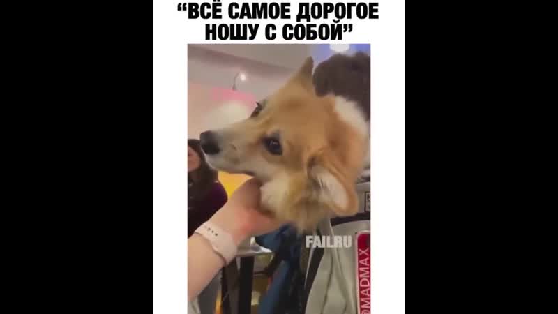 Молодые не обделён вниманием