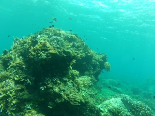 Bali, snorkelling