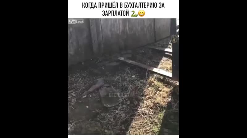 Дружный женский коллектив