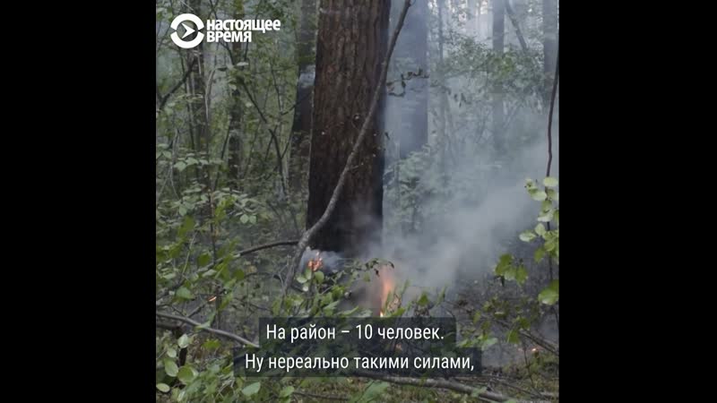 Что жители иркутской области говорят о лесных пожарах