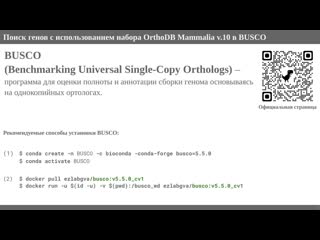 Busco создание филогенетического дерева с использованием полногеномных данных