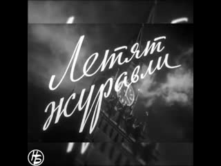 Летят журавли mp4