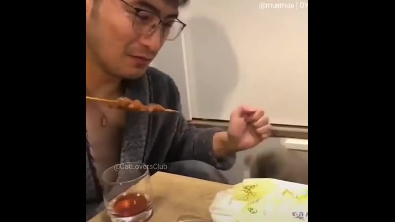Мохнатый рэкетир