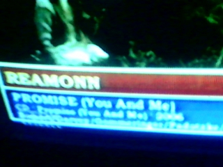 Reamonn promise (you and me) (стс)