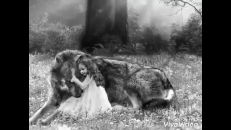 Волк стихи расул гамзатов читает с гармаш