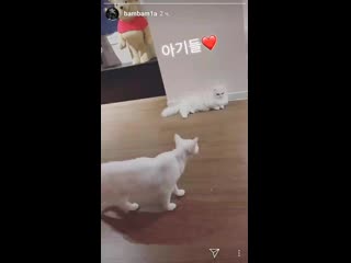 Бэм снимает своиъ деток