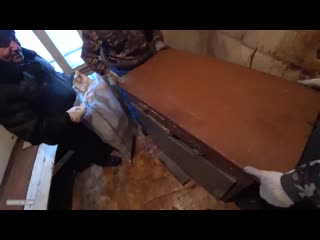 [вася на сене] жуткий дом африканца конец истории с пропавшей дочкой