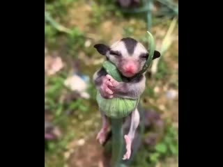 Мелочь, а приятная 😍😍😍