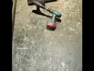 Поспорили с другом чей сильнее