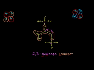 Фетальный гемоглобин и гематокрит