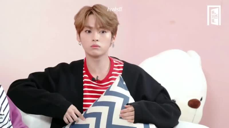 Leeknow and his cats