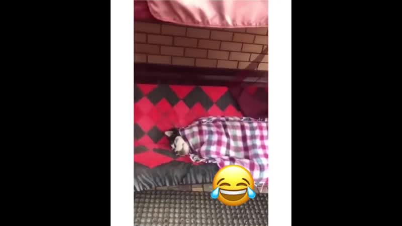 Надежно охраняет