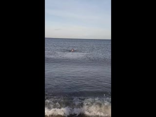 Una giornata meravigliosa, ho fatto il bagno al mare 🏊‍♀️ 19 gennaio 2018 😃 le di pomeriggio, sono contentissima era pr