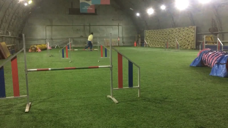 Джампинг и выборка, тренироа