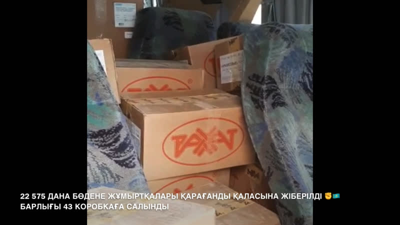 22 575 дана бөдене жұмыртқалары қарағанды қаласына жіберілді ✊🇰🇿 барлығы 43 коробкаға салынды @kadyrovfarm