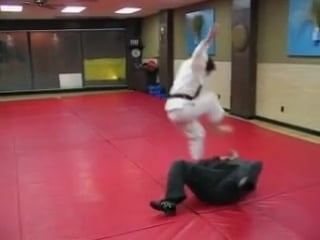 Goshin jujitsu self defense techniques