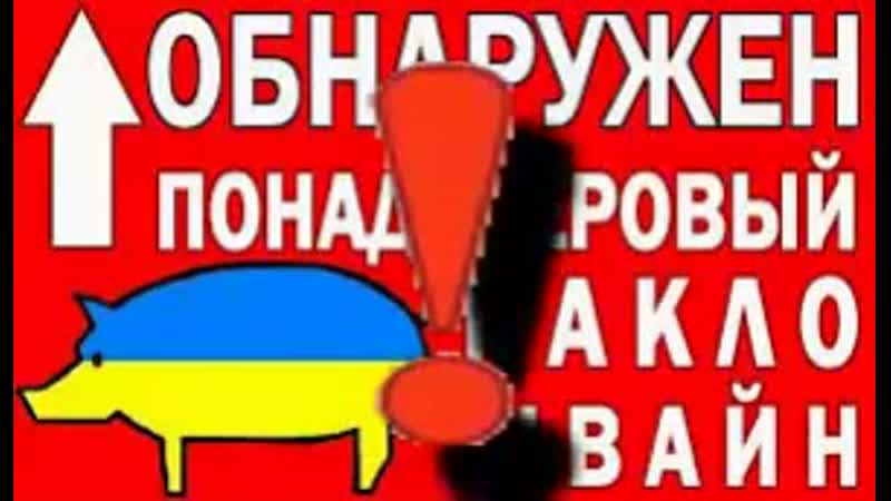 Обнаружен понадусёровый каклошвайн