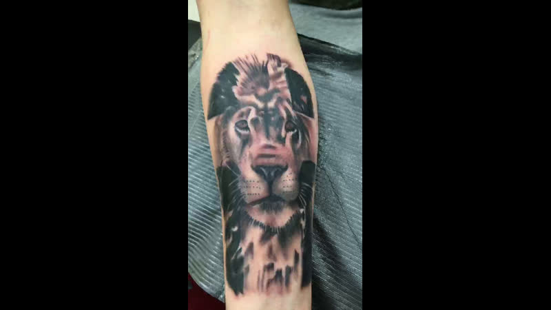 Свежий лёва