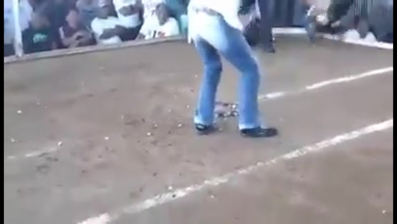 Петушиные рамсы! жесть!