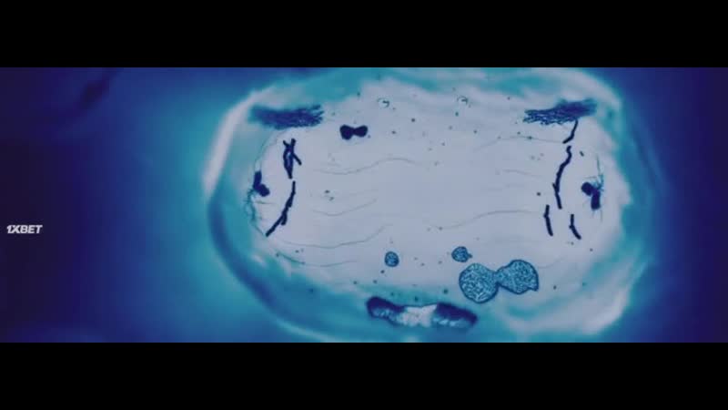 Штамм химеры 2018