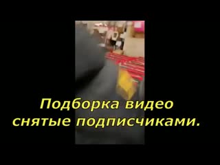 Служители маскарадного режима видео от подписчиков {15 01 2021}