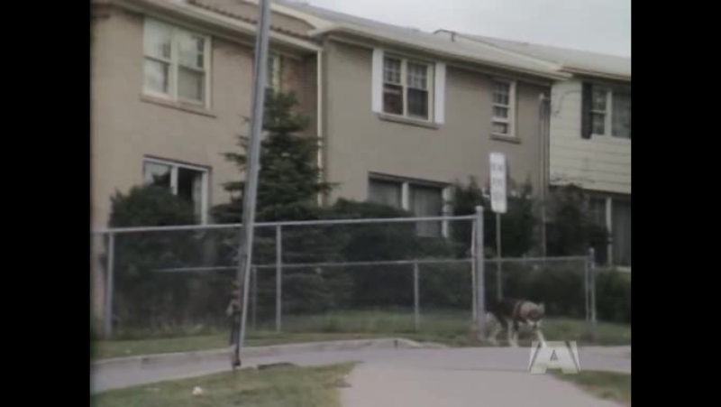 The littlest hobo s04e16 the five labours of hercules part 2 cakl