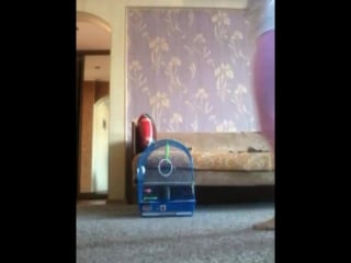 Vid 20160323 103649