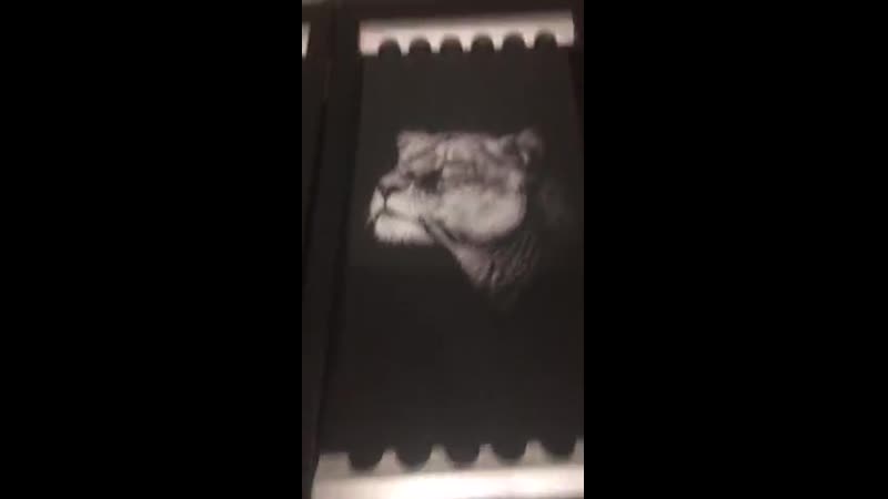 Отзыв № 14 нарды "лев" от владимира