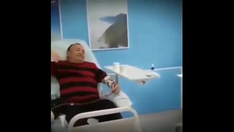 Қара жорға👍