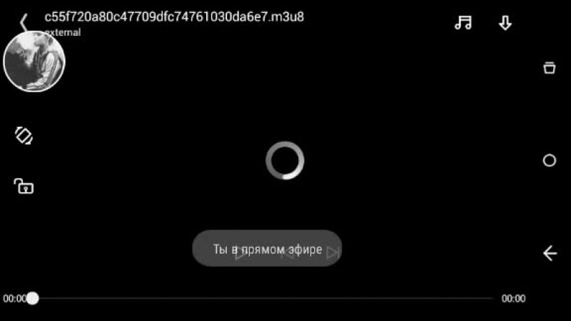 Айнтрахт вердер live