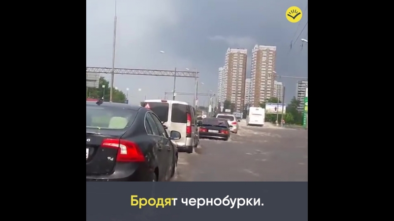 Песня про оленей