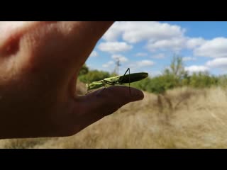 Видео от ильи гамаюнова