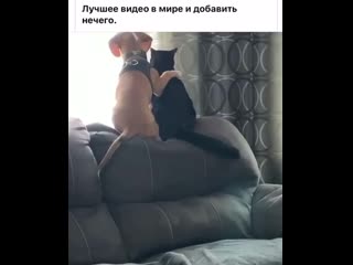 Видео от лоры хазиевой